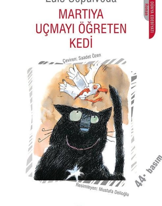 Martıya Uçmayı Öğreten Kedi