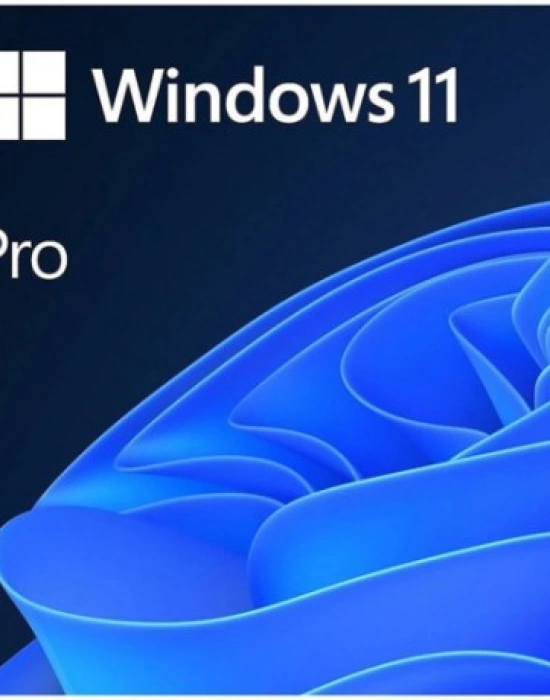 MS WINDOWS 11 PRO 64BIT ENG (OEM) FQC-10528