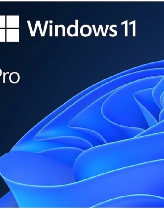 MS WINDOWS 11 PRO 64BIT TR OEM FQC-10556