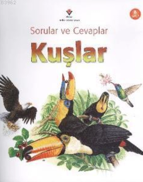 Sorular ve Cevaplar - Kuşlar