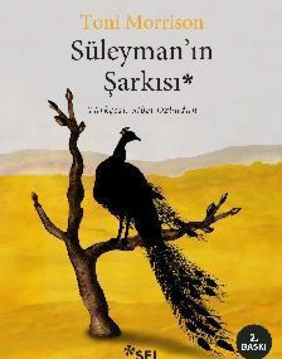 Süleymanın Şarkısı