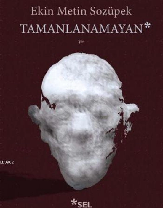 Tamanlanamayan