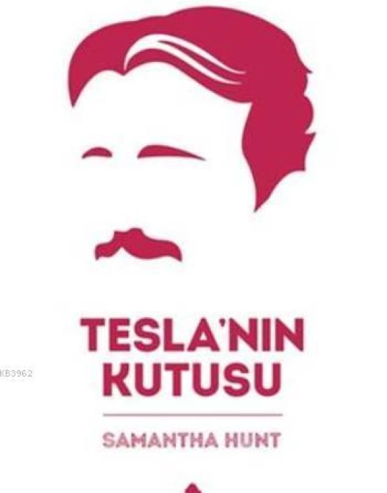 Teslanın Kutusu