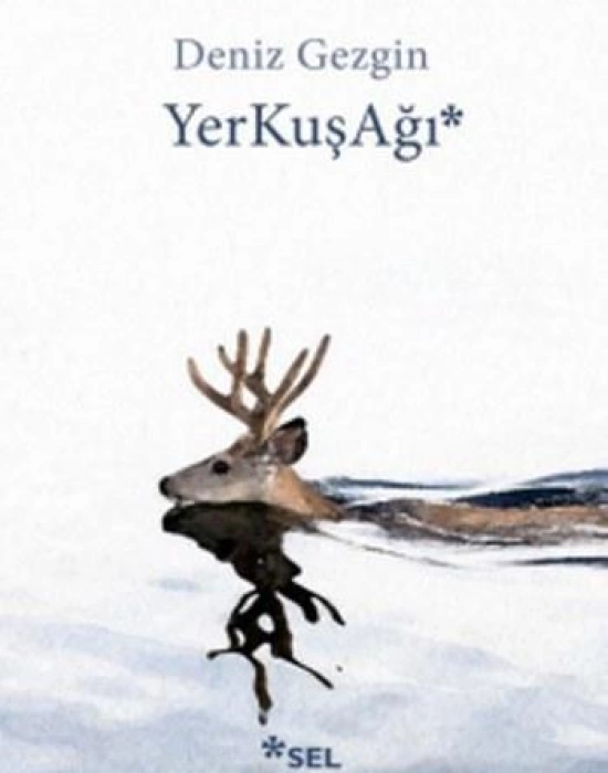 YerKuşAğı