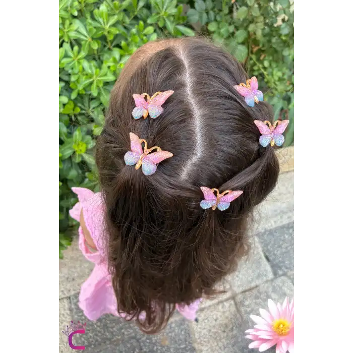 5li Pembe Mavi Degrade Kız Çocuk Kelebek Toka Seti - Dolgu Kanatlı Kelebekli Mini Pens Saç Tokası