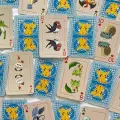 POKER İSKAMBİL KARTI