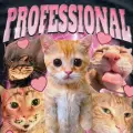Siyah Professşonal Yapper Cat Meme Unisex T-Shirt