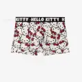 Hello Kitty Baskılı Boxer
