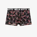 Hello Kitty Baskılı Boxer