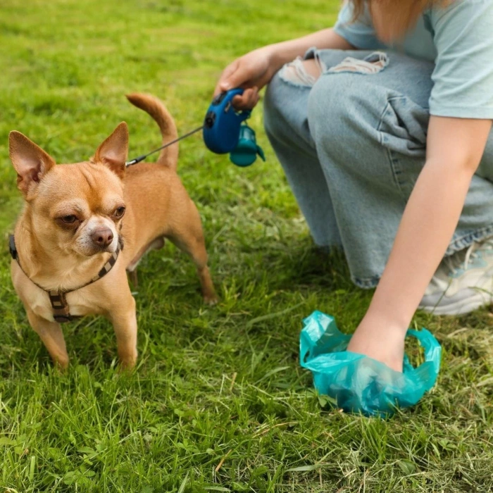 10 Adet Evcil Hayvan Kullan At Kaka Poşeti (5148)