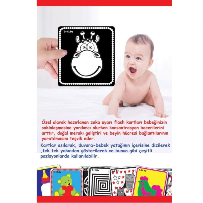 Timion 1369 BEBEĞİMİN İLK ZEKA KARTLARI