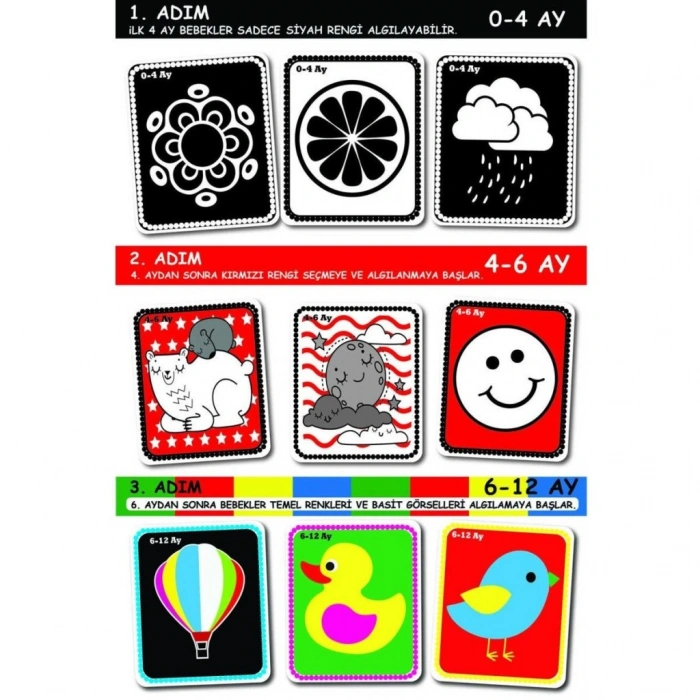 Timion 1369 BEBEĞİMİN İLK ZEKA KARTLARI