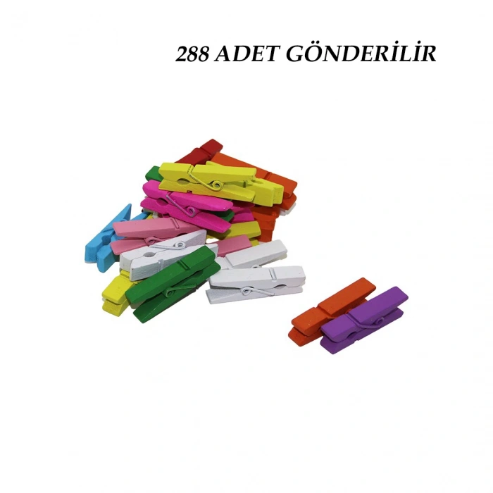 288 Adet Mini  Renkli Ahşap  Fotoğraf - Süs - Sunum Mandalı  (5148)