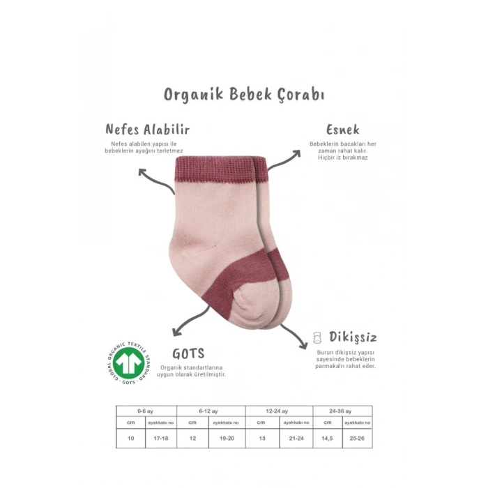 Timion 3Lü Penye Rainbow Soket Çorap BS10113 Pudra