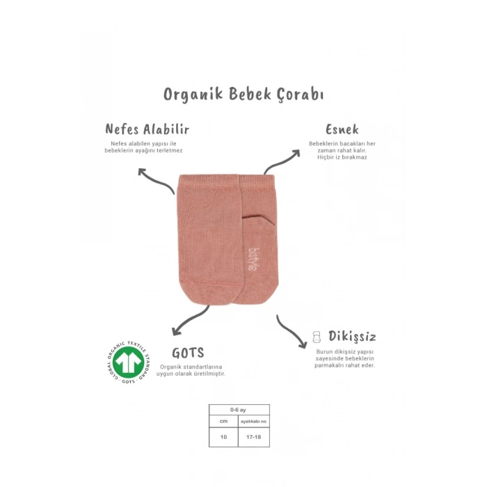Timion 5li Penye Soket Kutulu Basic Çorap 10131 Pudra