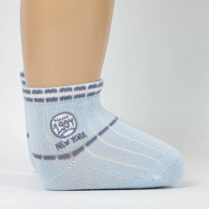 Artı Teori ANessiWorld Erkek Bebek Soket Çorap 450205 (ADET FİYATIDIR)