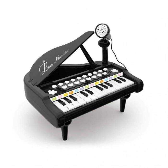 BAO-1505A Mikrofonlu Piano 24 Tuş MP3 Çalar NessiWorld