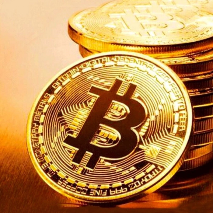 Bitcoin Madeni Hatıra Parası Madeni Bitcoin Hediye Sikke Para (5148)