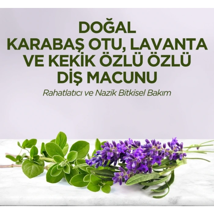 Doğal Diş Macunu 90 Gr Karabaş Otu & Lavanta ve Kekik Özlü