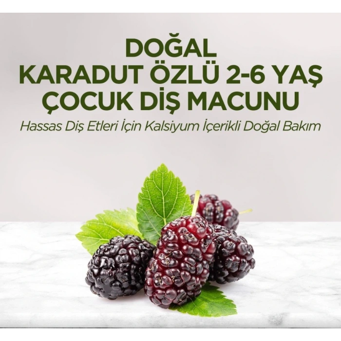 Doğal Karadut Özlü Diş Macunu 2-6 Yaş 60ml