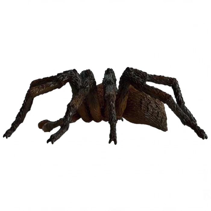 HP Aragog 13987
