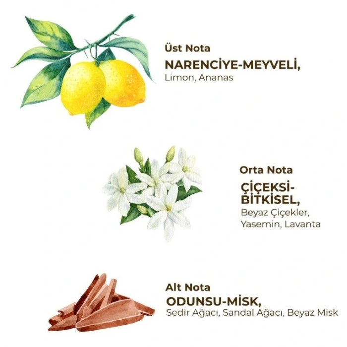 Timion Kadın Roll On Deodorant 75 ml Fresh