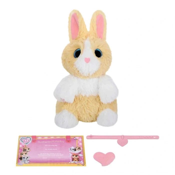 Timion Klasik Seri Kutu CRU10000