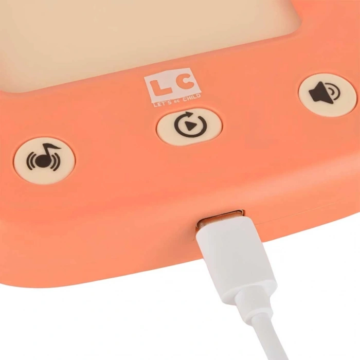 Öğretici Türkçe İngilizce Konuşan Flash Kartlar 31050