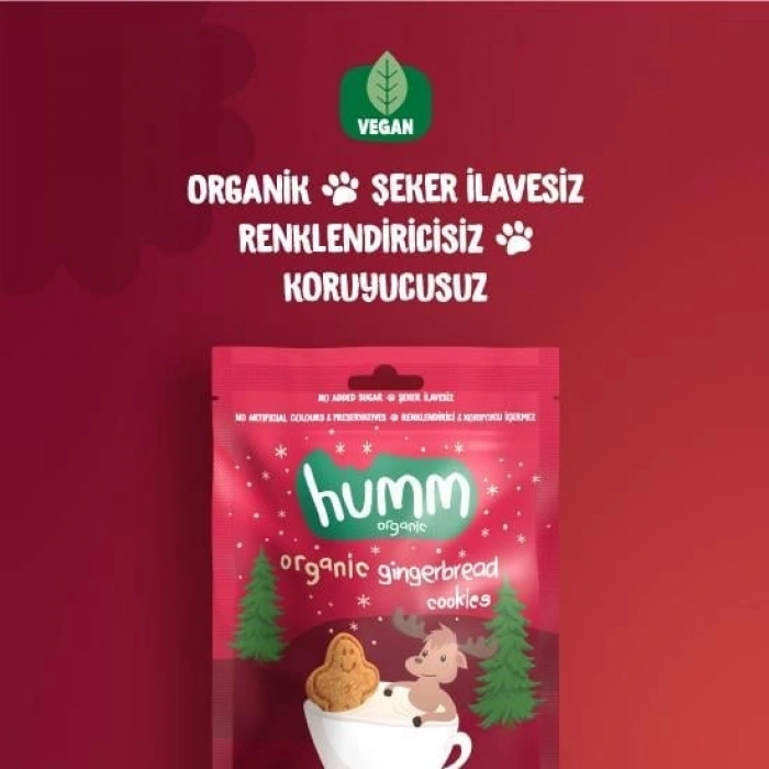 Timion Organik Zencefilli ve Tarçınlı Vegan Kurabiye 55 Gr