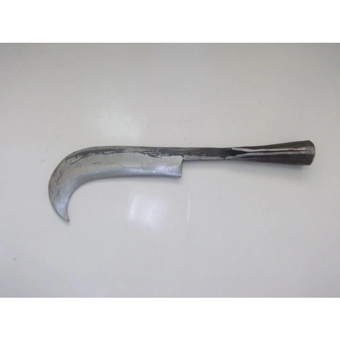 Timion Tahra Küçük Boy