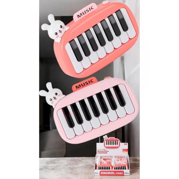 Timion 8896-1B KUTUDA 12Lİ PİLLİ PİANO -CN