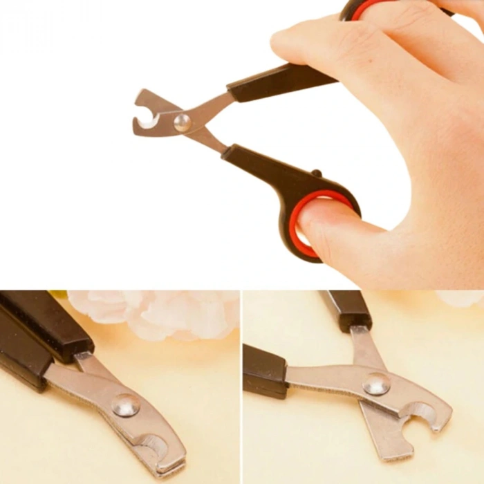 Timion Evcil Hayvan Tırnak Makası Ve Törpü Seti Manikür Pedikür Pati Bakım Aleti Kaymaz Sap (5148)