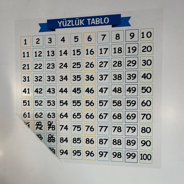 Timion Matematik Öğreten Yüzlük Tablo Duvarda İz Bırakmaz Akıllı Kağıt Yapışkansız Statik  60x60 cm (5148)