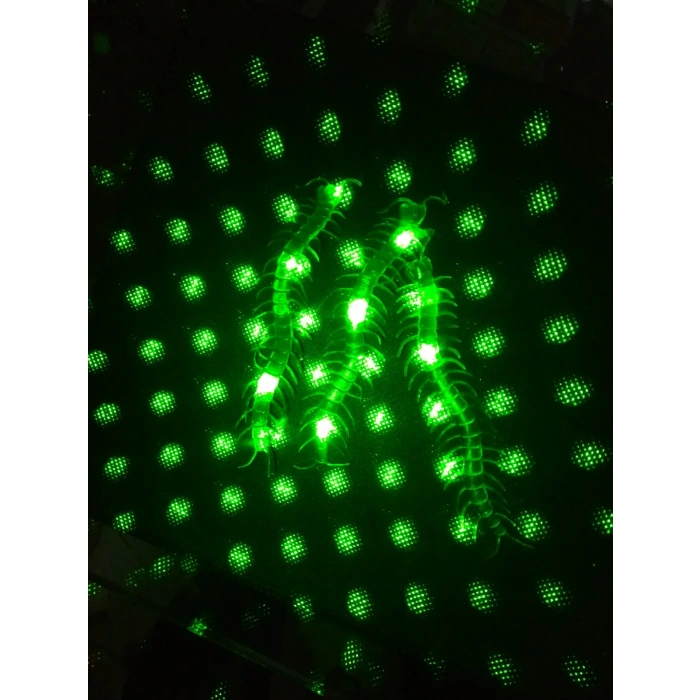 Timion Şaka Yılan ve Kırkayak Karışık 36 Adet (5148)