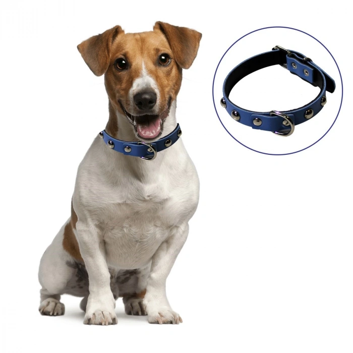 Yumuşak Dokulu Deri Köpek Gezdirme Boyun Tasması (Large) (5148)