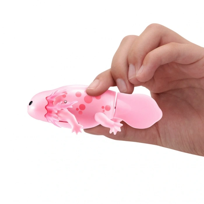 Timion Yüzen Axolotl