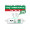 Clean Yüzey Temizlik Havlusu 100 Adet