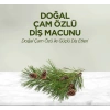 Doğal Diş Macunu 90 Gr Çam Özlü