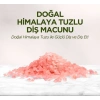 Doğal Diş Macunu 90 Gr Himalaya Tuzlu