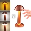 Mantar Model Bronz Renk Şarjlı Dokunmatik 3 Renkli Led Masa Lambası (5148)