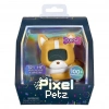 Timion Petz Corgi Dijital Evcil Hayvanını