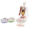 Timion S00005280 BİLİM SET İNSAN VÜCUDU MODELİ 23PRÇ