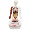 Timion S00005280 BİLİM SET İNSAN VÜCUDU MODELİ 23PRÇ