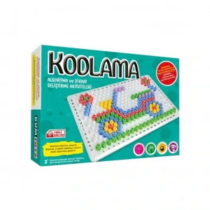 5273  Kodlama