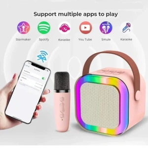 Karaoke Mikrofon Hoparlör Seti Mini (5148)