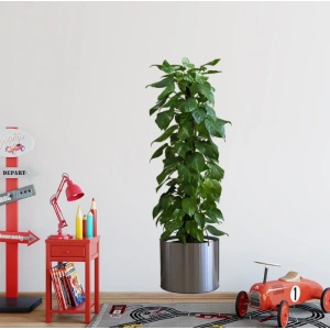 NessiWorld Saksılı Bitki Tasarımlı Yapışkanlı Sticker Resim 90*30 cm MC-665