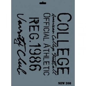 Timion Rich New Seri N208 Stencil 35X25 Cm