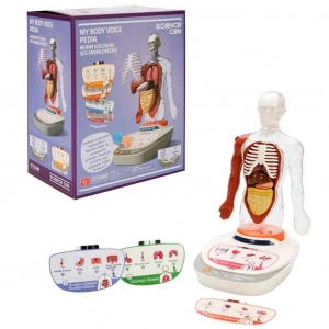 Timion Sesli İnsan Vücudu Modeli Bilim Seti