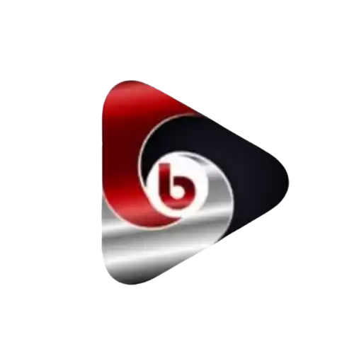 bayiburda.com-logo