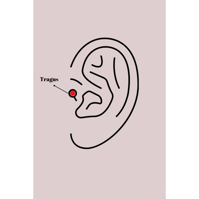 316L Çelik Gümüş Renk Mor Kelebek Model Tragus Piercing